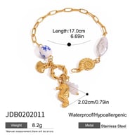 JDB0202011 