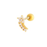 4# Gold Picture14