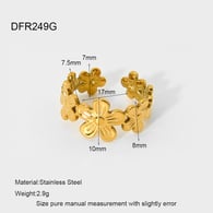 DFR249G/OPEN 