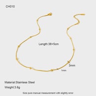 CH010 Bild16