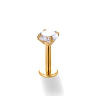 028-Gold Picture10