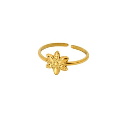Simple and Versatile Gold Colored Stainless Steel Women's Ring h5 Picture5