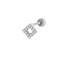 13# Silver Picture21