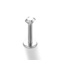 028-Silver Picture3