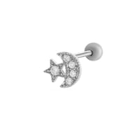 11# Silver Picture23