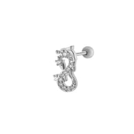 6# Silber Bild10