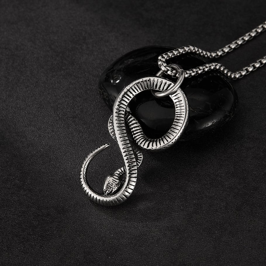 Curving Snake Stainless Steel Men's Necklaces Picture4