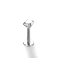 028-Silver Picture7