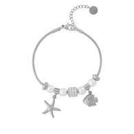 silver color Immagine2
