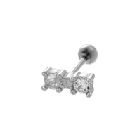 040—Silver Picture4