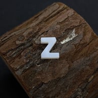 Z Picture2