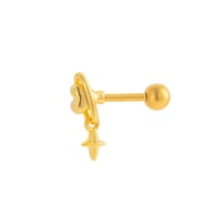 040—Gold Picture16