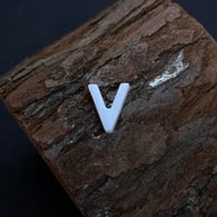 V Picture6