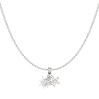 silver color Afbeelding2