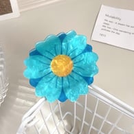 Marguerite bleue Image3