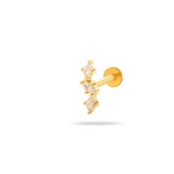 0169-7#Gold Picture9