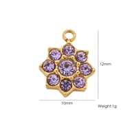 21 Lila Diamantblume Bild45