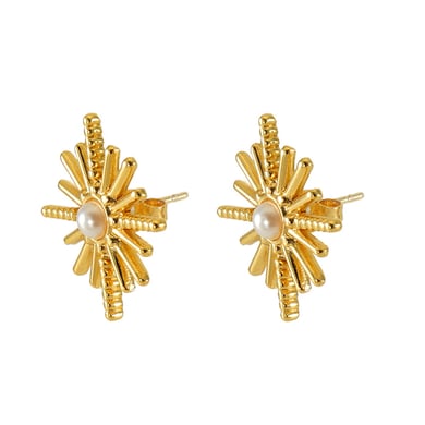 Orecchini a bottone in acciaio inossidabile color oro h5 