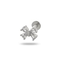 038—Silver Picture16