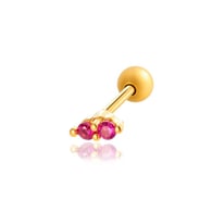 0176-3#Goldene Rose Rot Bild5