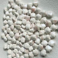 Coquillage Sakura (11×13mm) Image15