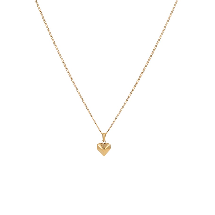 Colliers pendentifs en acier inoxydable pour femmes, série Simple Daily Heart Image5