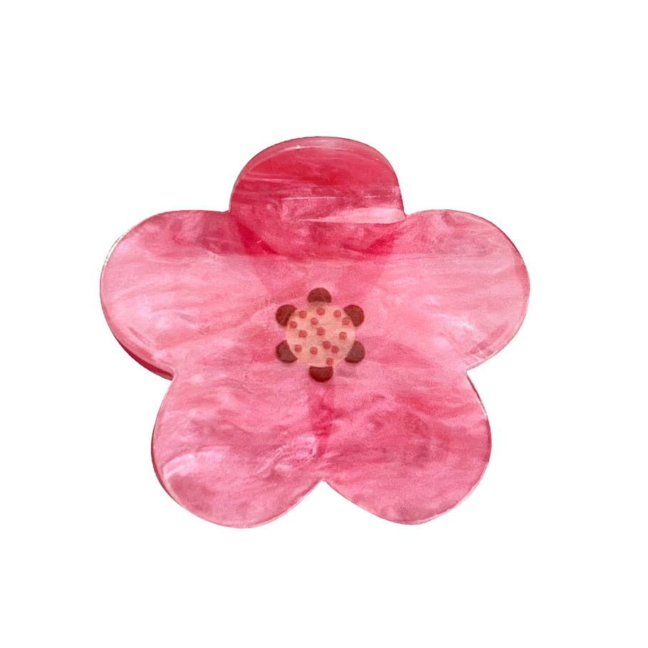 Pinces à cheveux élégantes en acrylique pour femmes, série simple Image5