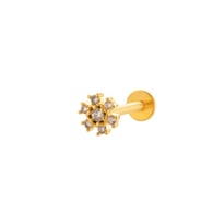 4# Or Image7