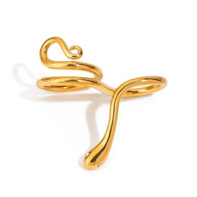 Ins Style Snake Stainless Steel Gold Color Statement Rings h5 