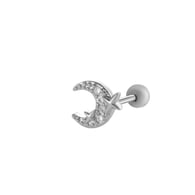 2# Silver Picture3