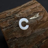 C Picture25