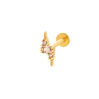 0153-1# Gold Picture24