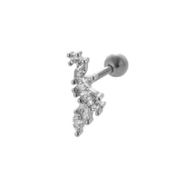 040—Silver Picture5