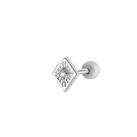5# Silver Picture16