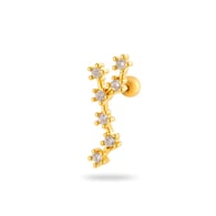 6#-Virgo Picture8