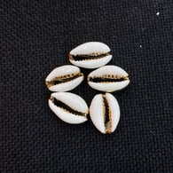 White Picture6