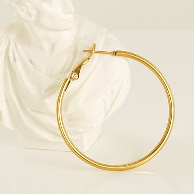 Orecchini a cerchio classici in acciaio inossidabile color oro h5 Immagine4