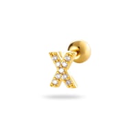 X Bild22