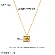 DFN152 Bild4