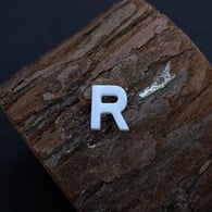 R Picture10