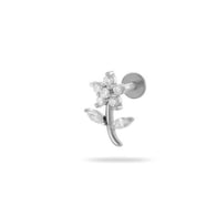0169-10#Silver Picture2