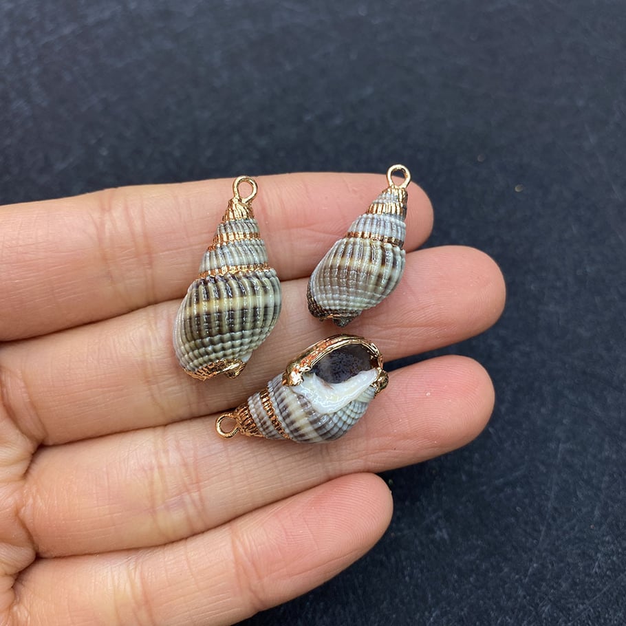 1 Piece Sea Shells Gold Color Women's Pendants Picture2