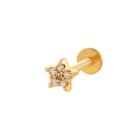 037 - Gold 