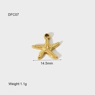 DFC07 Seestern 2 Bild12