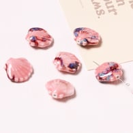 Rosa Immagine12
