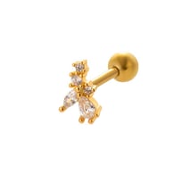 040—Gold Picture10