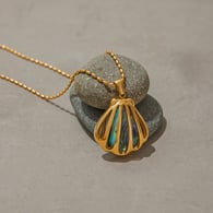 JDN0103013 