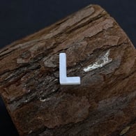 L Picture16