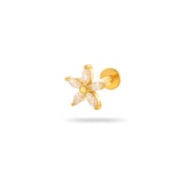 0169-3#Gold Picture17