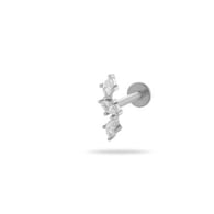0169-7# Silver Picture8